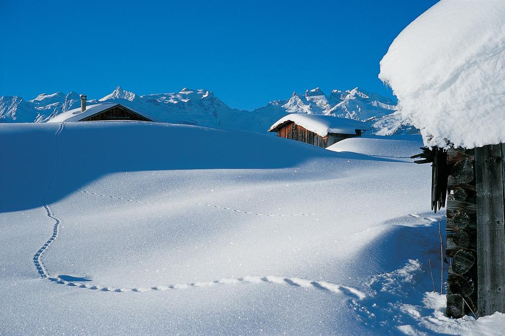 Chalet Zamang Schruns Εξωτερικό φωτογραφία